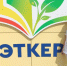 Смена для тех, кто любит ставить эксперименты - Алатырский район